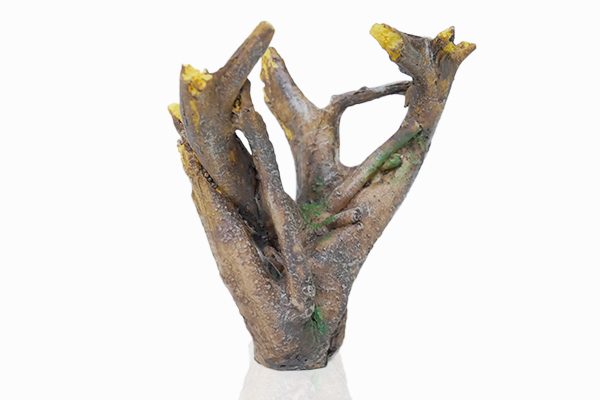 水槽 アクアリウム インテリア 水槽装飾 オブジェ 03